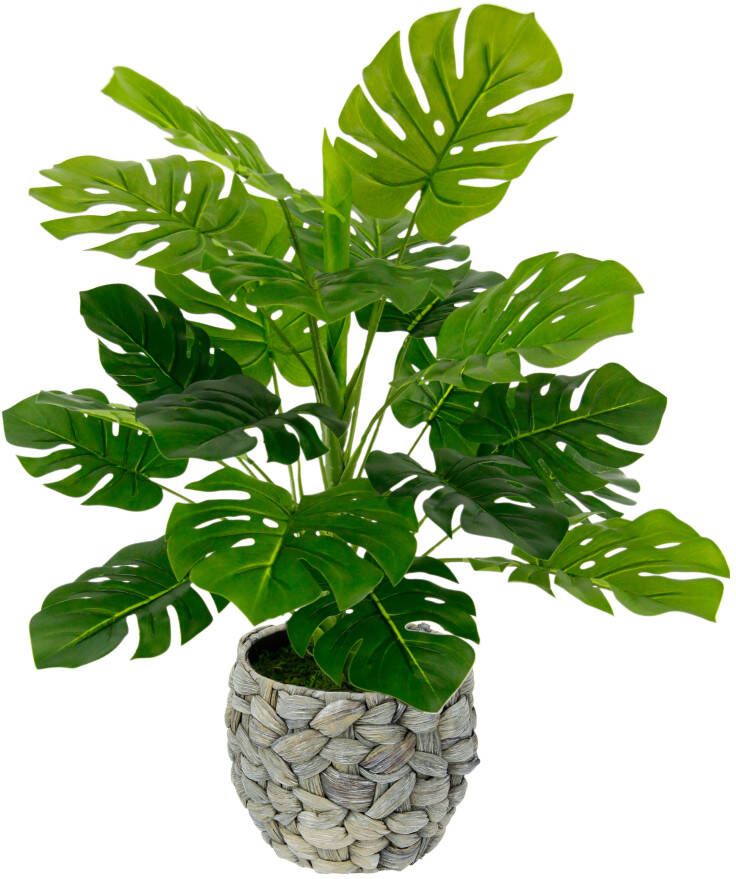 I.GE.A. Kunstplant Monstera