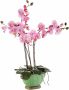 I.GE.A. Kunstplant Orchidee (1 stuk) - Thumbnail 1