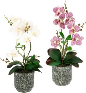 I.GE.A. Kunstplant Orchidee Met bladeren en luchtwortels in een pot van keramiek set van 2 (2 stuks)