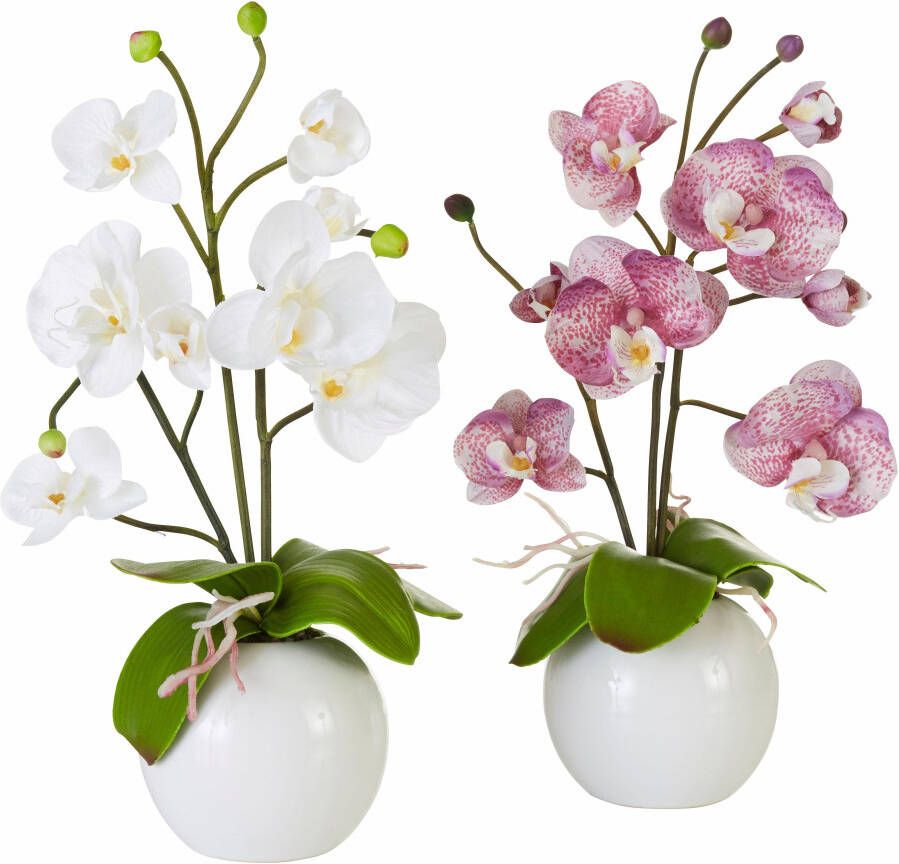 I.GE.A. Kunstplant Orchidee (set 2 stuks)