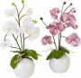 I.GE.A. Kunstplant Orchidee (set 2 stuks) - Thumbnail 1