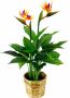 I.GE.A. Kunstplant Paradijsvogelplant in pot van waterhyacint (1 stuk) - Thumbnail 1