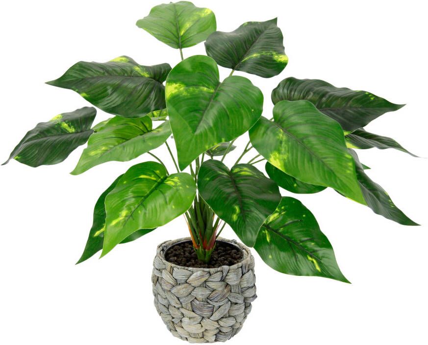 I.GE.A. Kunstplant Pothos plant in waterhyacint pot (1 stuk)