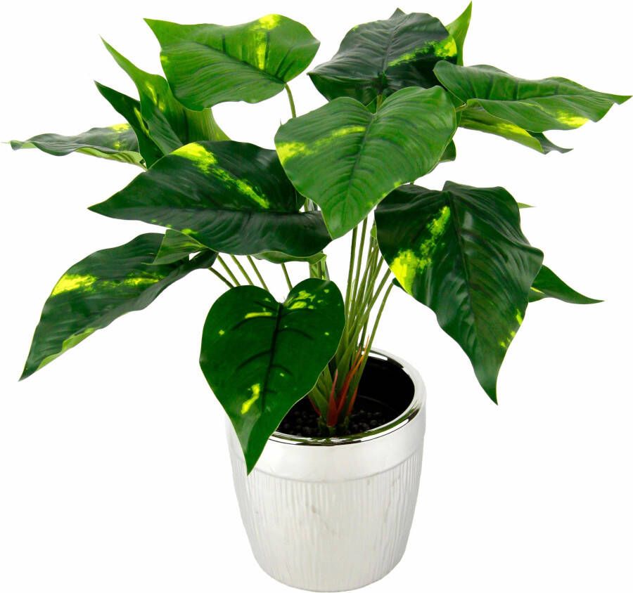 I.GE.A. Kunstplant Pothosplant in pot (1 stuk)