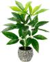 I.GE.A. Kunstplant Schefflera - Thumbnail 1