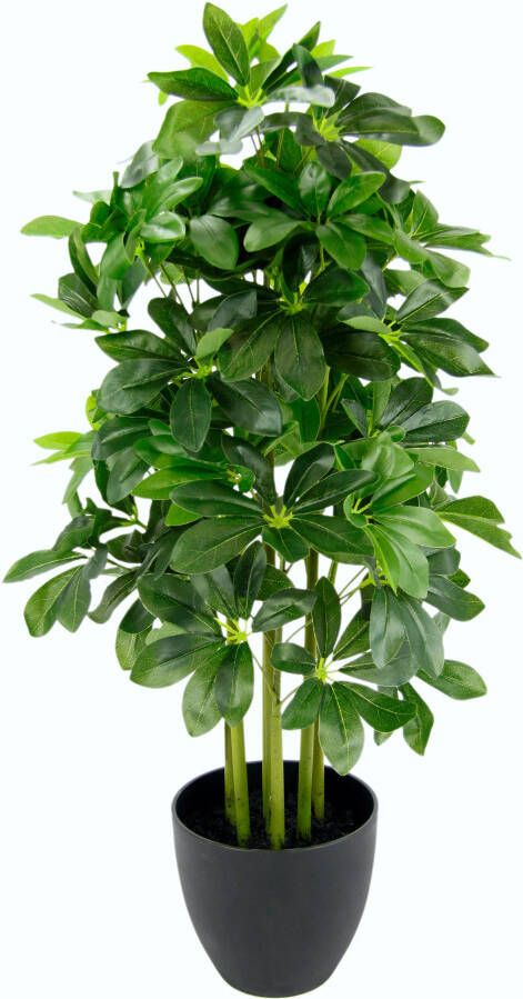 I.GE.A. Kunstplant Schefflera-plant in een plastic pot (1 stuk)