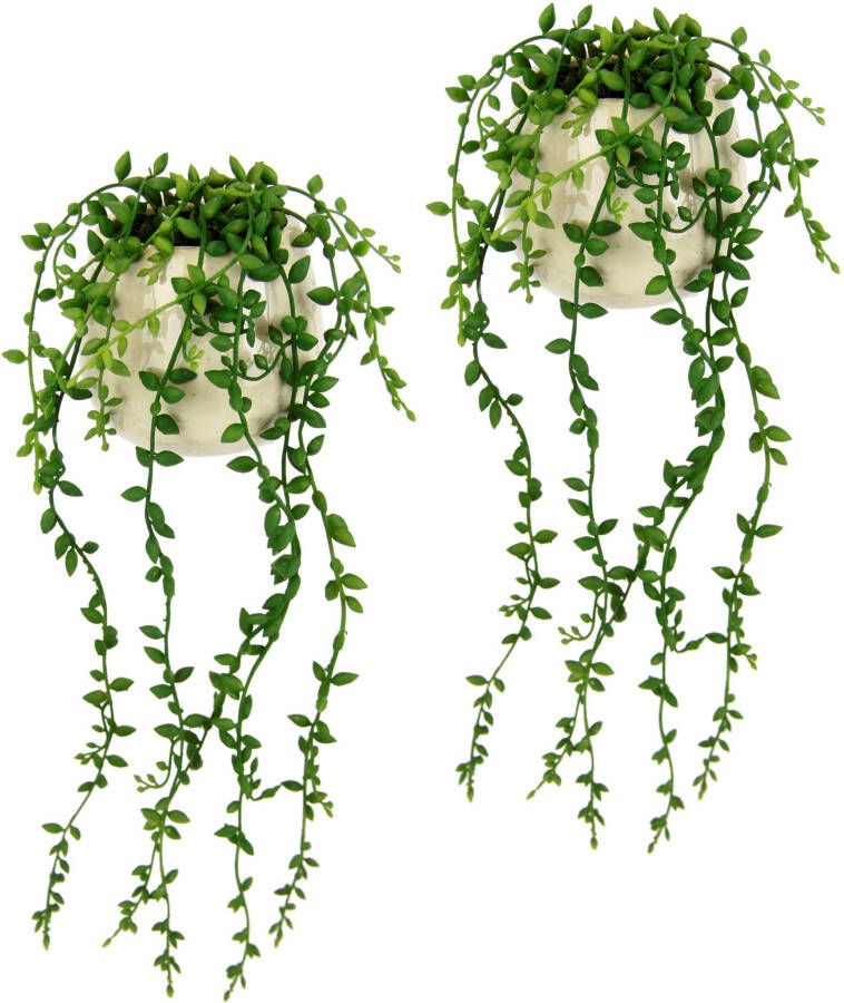 I.GE.A. Kunstplant Senecio im Topf 2er Set künstlich Pflanze Hängepflanze Kunstblume (2 stuks)