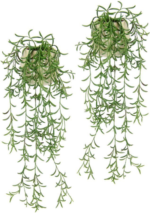 I.GE.A. Kunstplant Sprengerie im Topf 2er Set künstlich Pflanze Hängepflanze Kunstblume (2 stuks)
