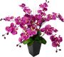 I.GE.A. Kunstplant Vlinderorchidee in pot - Thumbnail 1