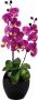 I.GE.A. Kunstplant Vlinderorchidee in vaas - Thumbnail 1