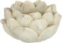 I.GE.A. Plantenbak Antiek plantenbak Lotus-bloem (1 stuk) - Thumbnail 1