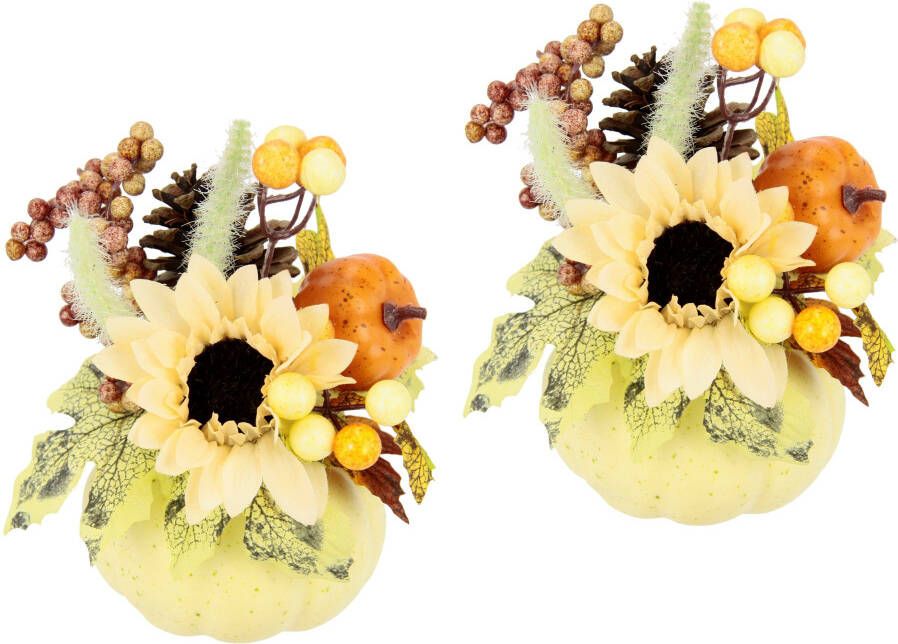 I.GE.A. Takken Zonnebloem Herfstbloemen (2 stuks)