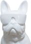 Kayoom Sculptuur Beeld Bulldog 125 - Thumbnail 1
