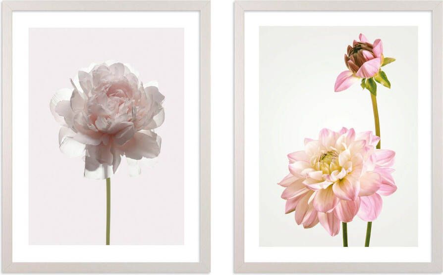 Komar Artprint met lijst Floral Delights