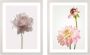 Komar Artprint met lijst Floral Delights - Thumbnail 1