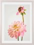 Komar Artprint met lijst Floral Delights - Thumbnail 1