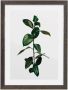 Komar Artprint met lijst Statement Greens - Thumbnail 1