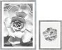 Komar Artprint met lijst Succulent Aeonium - Thumbnail 1