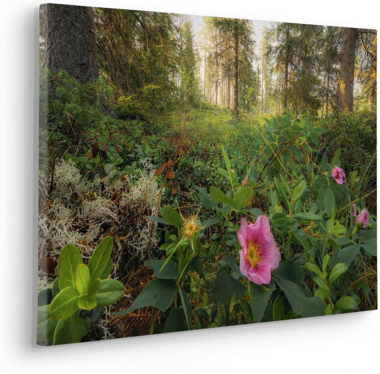 Komar Artprint op linnen Canvas schilderij Charming Woods Afmeting 60 x 40 cm (1 stuk)