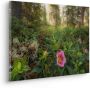 Komar Artprint op linnen Charming Woods 60x40 cm (breedte x hoogte) artprint op spieraam (1 stuk) - Thumbnail 1