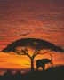 Komar Fotobehang National Geographic African Sunset 194x270 cm 4-501 - Thumbnail 2