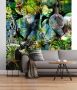 Komar Fotobehang Aphrodite's Garden grootte 184 x 254 cm (1 stuk) - Thumbnail 1