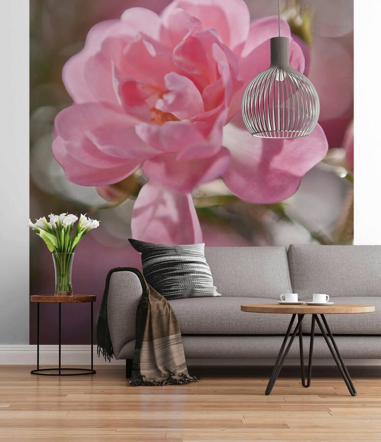 Komar Fotobehang Bouquet grootte 184 x 254 cm (1 stuk)