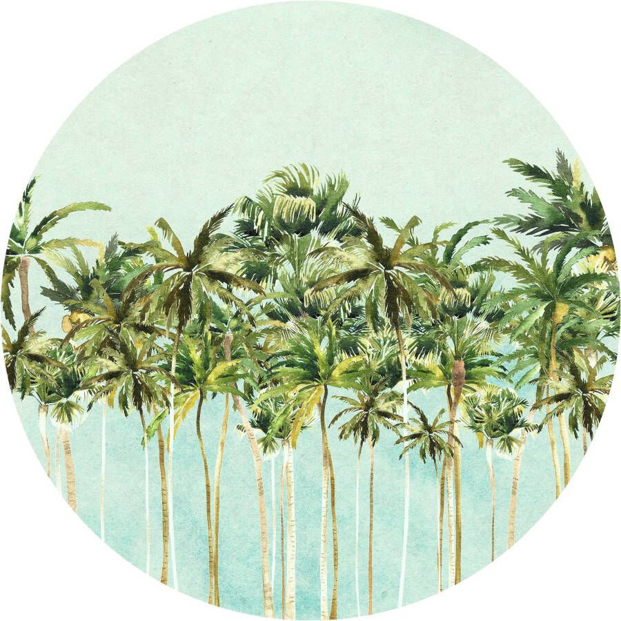 Komar Fotobehang Zelfklevend vlies Coconut Trees Afmeting 125 x 125 cm (1 stuk)