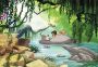 Komar Fotobehang Fototapete Fotobehang Jungle book swimming with Baloo x 254 cm (1 stuk) - Thumbnail 1