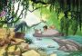 Komar Fotobehang Jungle book swimming with Baloo (1 stuk) - Thumbnail 1