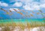 Komar Fotobehang Ocean Breeze 368x254 cm (breedte x hoogte) inclusief pasta (set) - Thumbnail 2