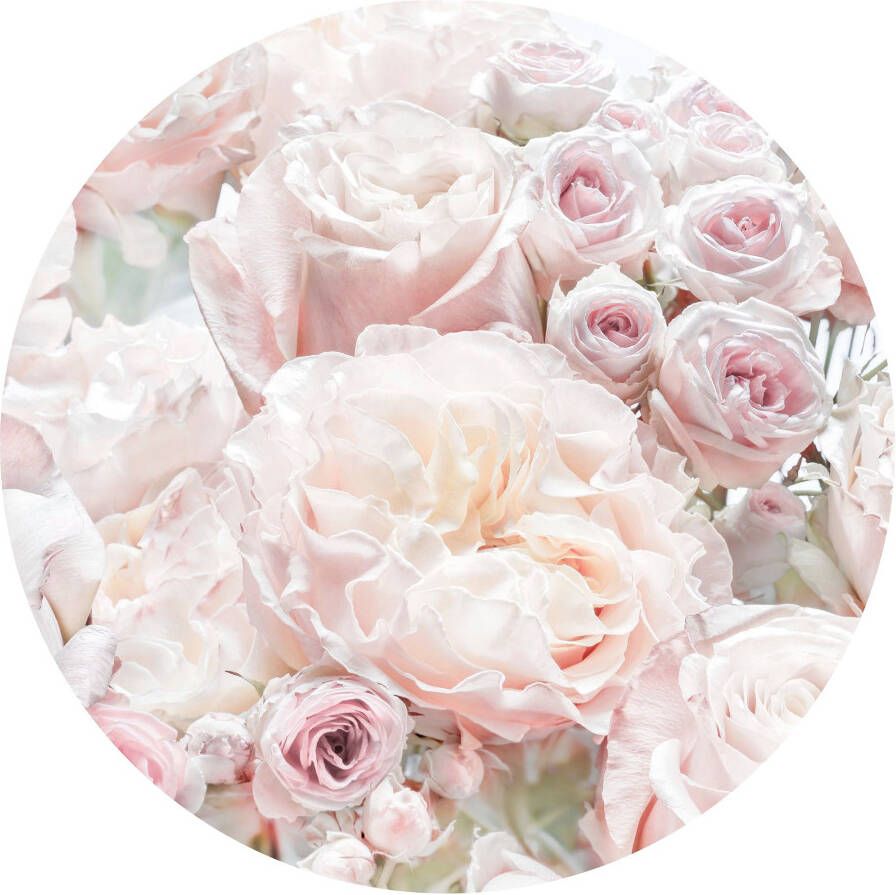 Komar Fotobehang Pink and Cream Roses 125 x 125 cm (breedte x hoogte) rond en zelfklevend (1 stuk)
