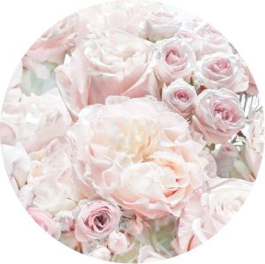 Komar Fotobehang Pink and Cream Roses 125 x 125 cm (set 1 stuk)
