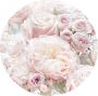 Komar Fotobehang Zelfklevend vlies Pink and Cream Roses Afmeting 125 x 125 cm (1 stuk) - Thumbnail 1
