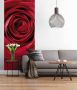 Komar Fotobehang Red Rose grootte 97 x 220 cm (1 stuk) - Thumbnail 1