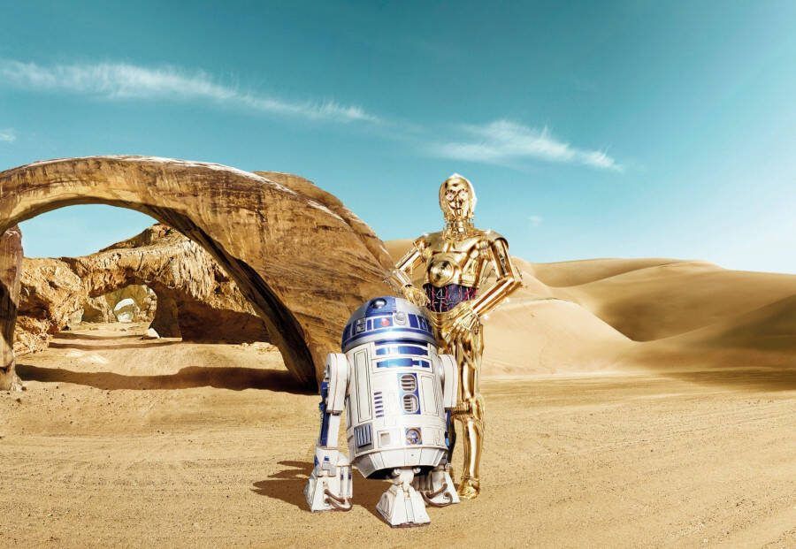 Komar Fotobehang STAR WARS Lost Droids Afmeting 368 x 254 cm (set)