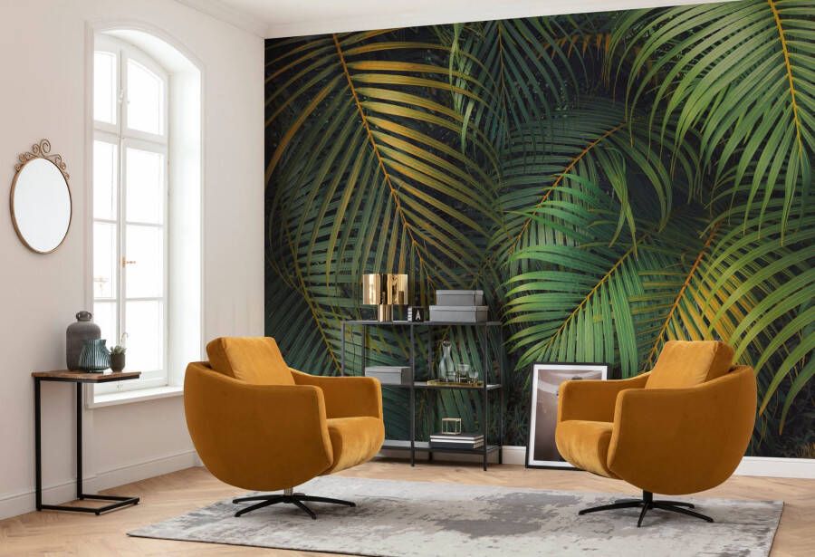 Komar Fotobehang Digitale print vlies Amazon Fern Afmeting 400 x 250 cm (1 stuk)