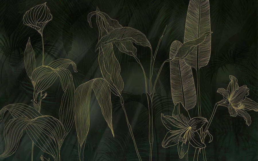 Komar Fotobehang Digitale print vlies Darkest Green Afmeting 400 x 250 cm (1 stuk)