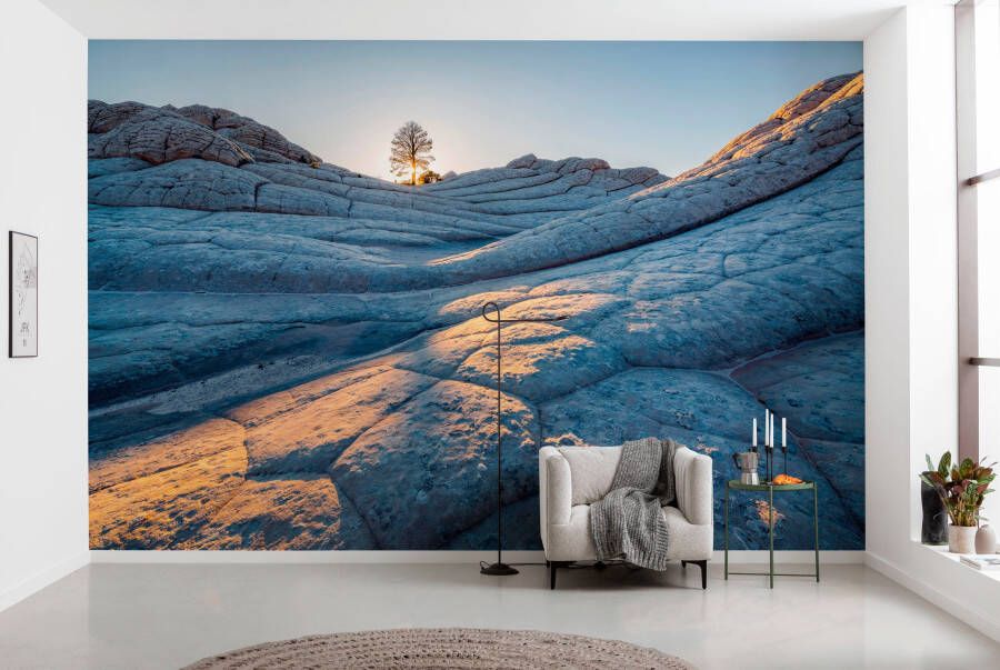 Komar Fotobehang Digitale print vlies Elephant Skin Afmeting 400 x 250 cm (1 stuk)