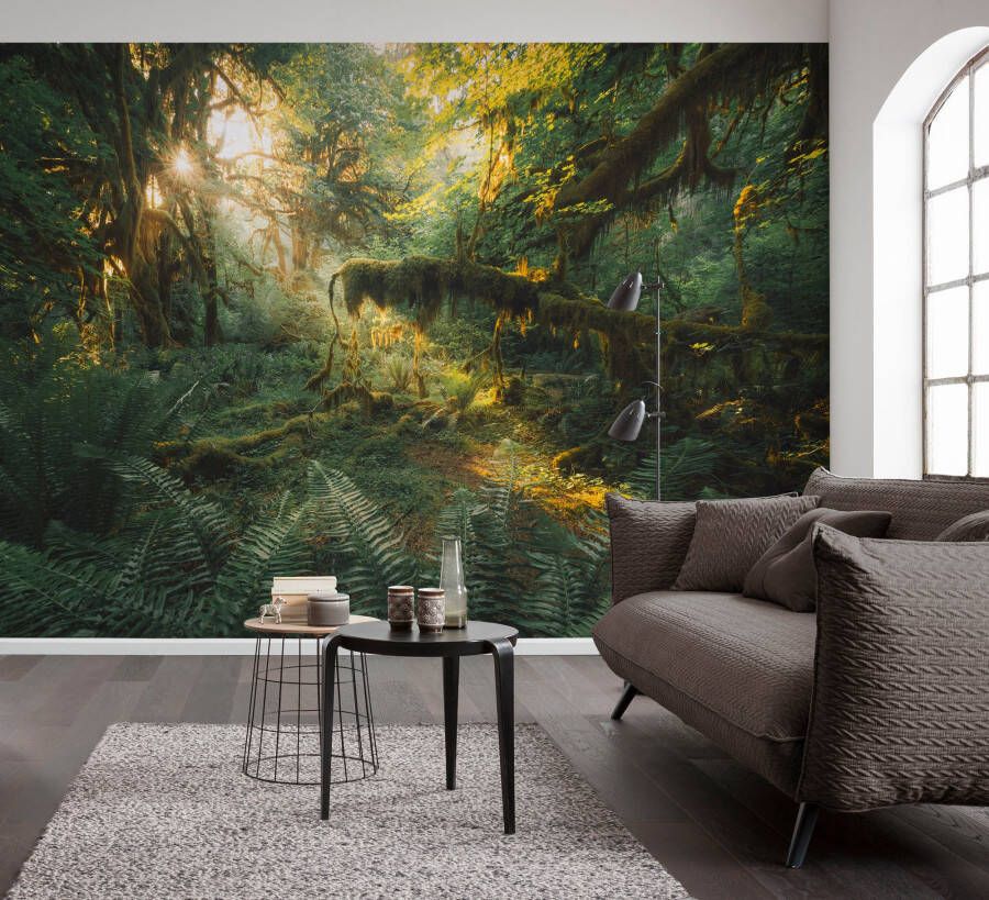 Komar Fotobehang Digitale print vlies Hall of Mosses Afmeting 400 x 250 cm (1 stuk)