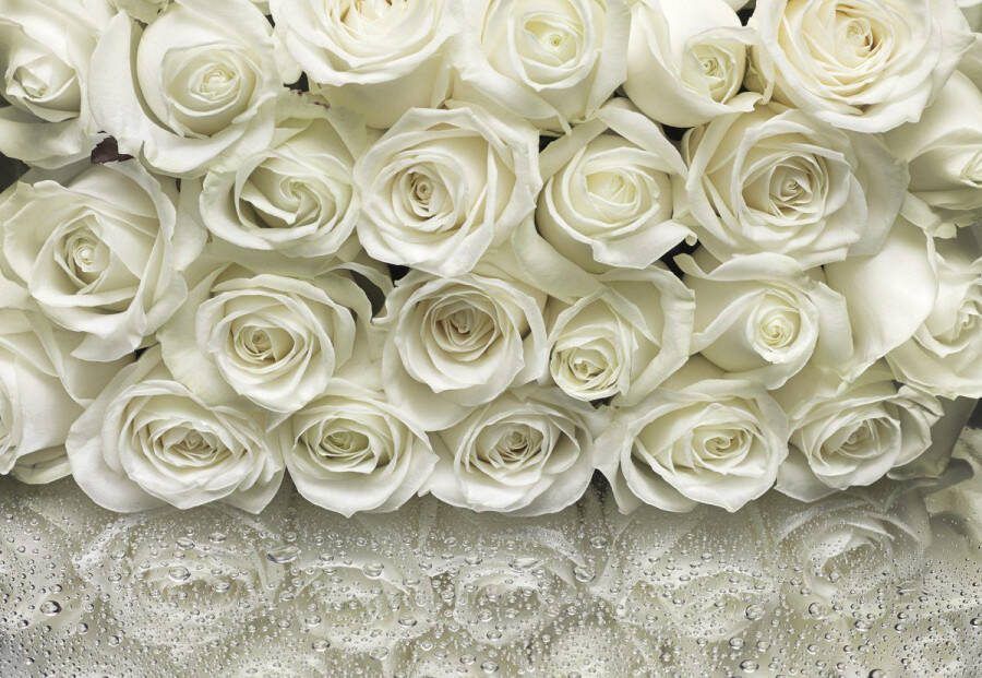 Komar Fotobehang A la Rose Afmeting 368 x 254 cm (1 stuk)