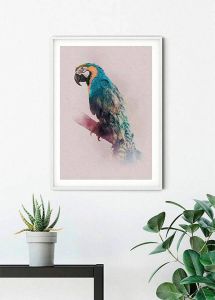 Komar Poster Animals Paradise Parrot Hoogte: 50 cm