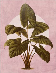 Komar Poster Créatures Végétales (1 stuk)