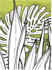 Komar Poster Dried Leaves (1 stuk)
