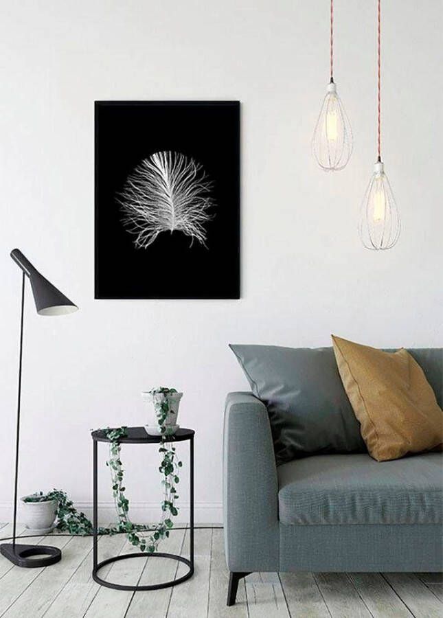 Komar Poster Feather black Kinderkamer slaapkamer woonkamer