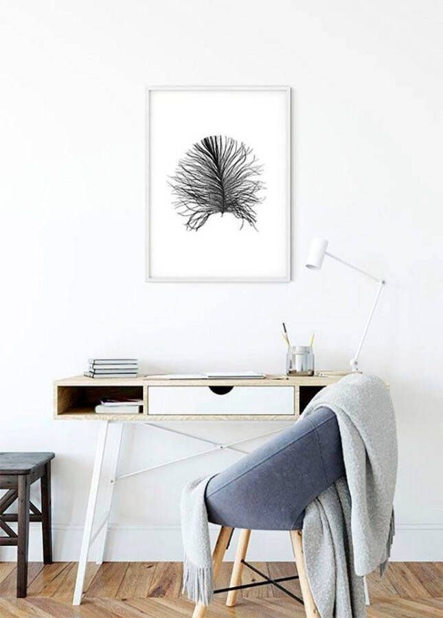 Komar Poster Feather white Kinderkamer slaapkamer woonkamer