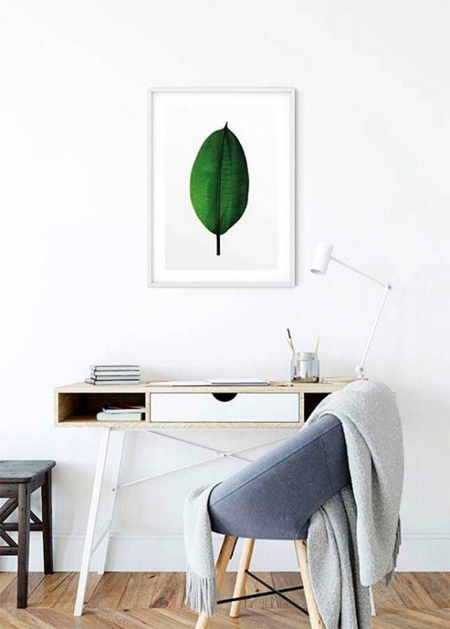 Komar Poster Ficus Leaf Kinderkamer slaapkamer woonkamer