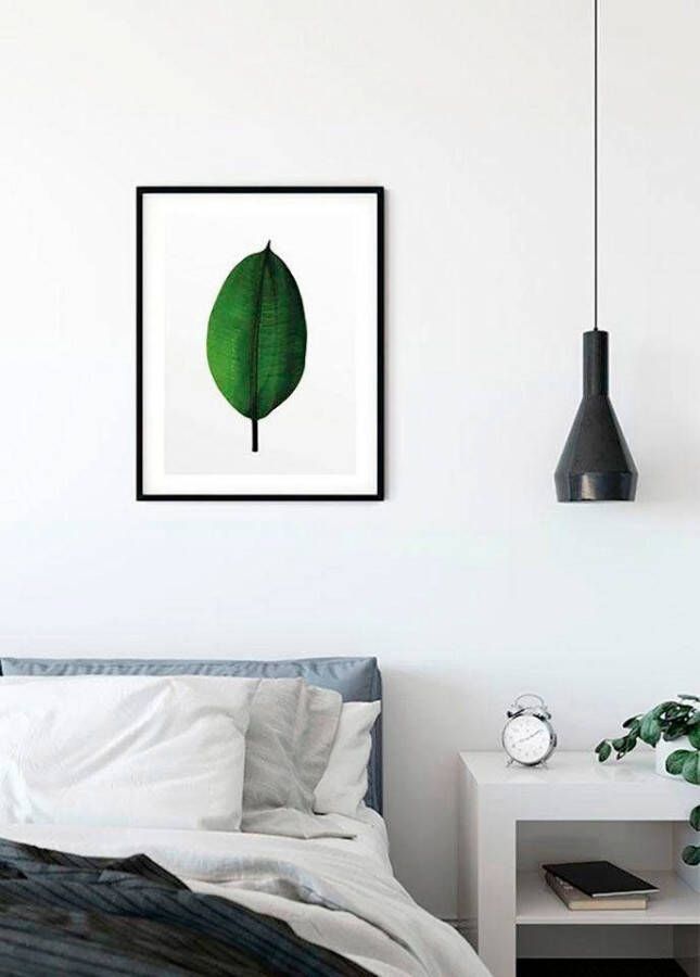 Komar Poster Ficus Leaf Kinderkamer slaapkamer woonkamer