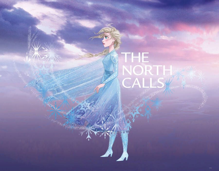 Komar Poster Frozen Elsa The North Calls Kinderkamer slaapkamer woonkamer