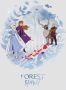 Komar Poster Frozen spirit Kinderkamer slaapkamer woonkamer - Thumbnail 1